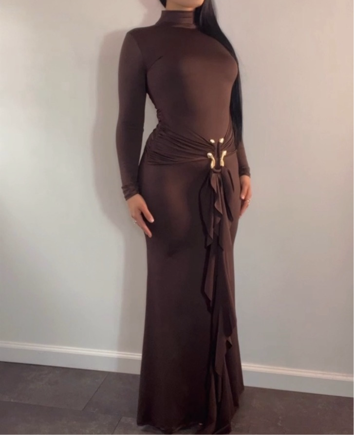 BBTM BROWN year or the snake long dress