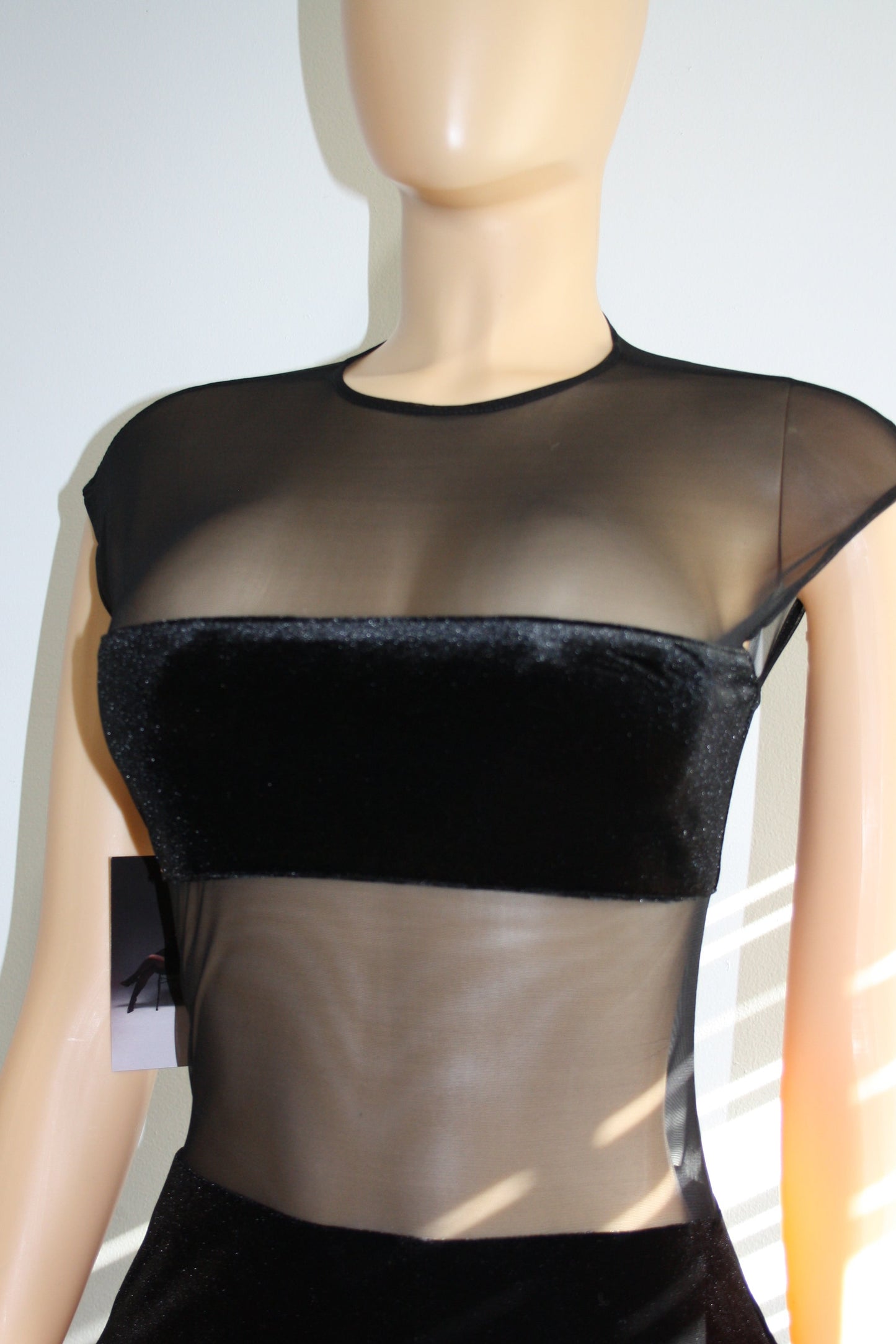 BBTM mesh/velvet “IT GIRL” dress